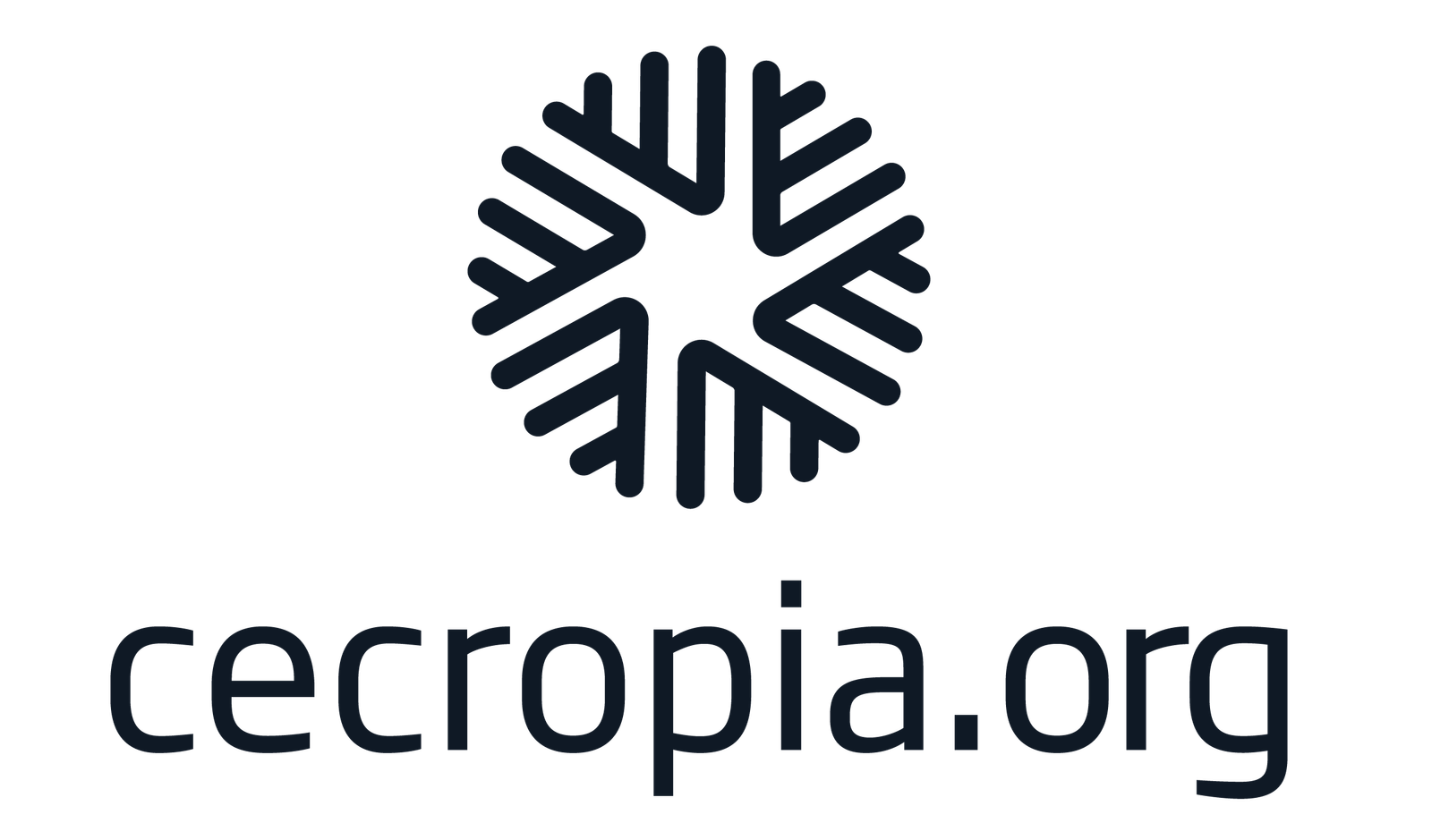 Cecropia